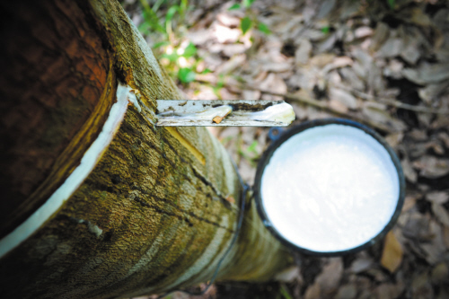 1114daw241SAD.jpg 1114daw241SAD.jpg